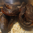 Smoked Dried Catfish (Eja Aro)