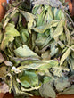 Pre Order Fresh Ewuro - Bitter Leaves (5 Bunches)