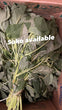 Pre Order Fresh Soko Leaves (5 Bunches)