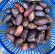 300g Fresh Ube also know as  Pear (Pre order)